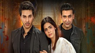 مسلسل الباكستاني لا اقبل حبك الحلقة 19 مترجمة