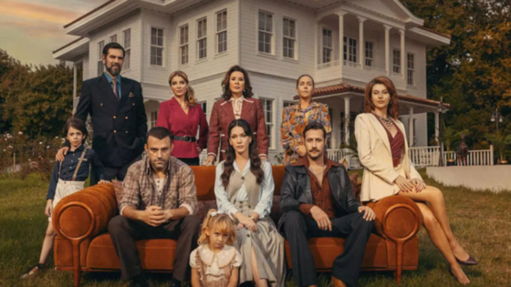 مسلسل حجر الامنيات الحلقة 20 والاخيرة مترجمة